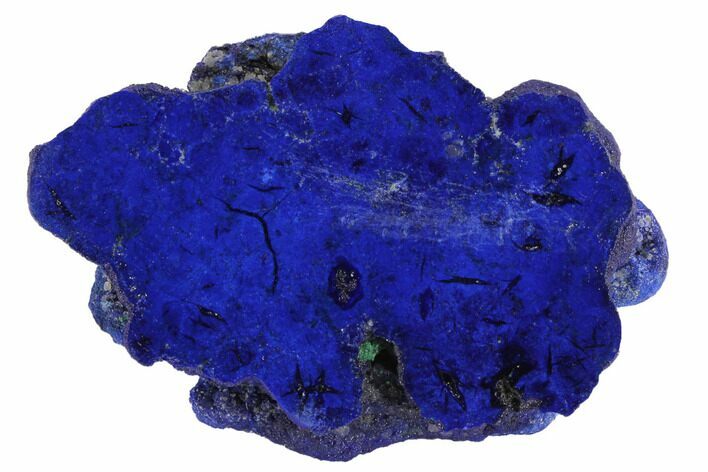 Vivid Blue, Cut/Polished Azurite Nodule - Siberia #94590